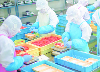 食品工場の環境整備 異物混入対策